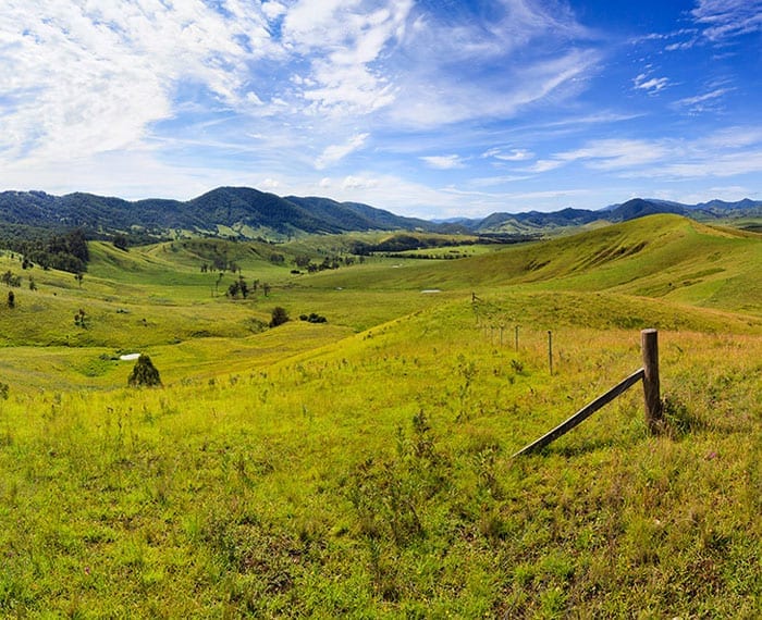 Strategic Group - Case Studies