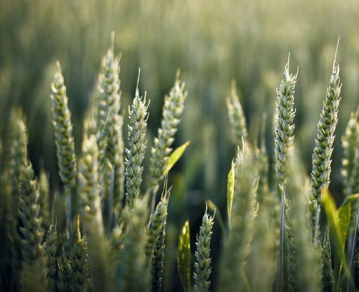 Strategic Group - Case Studies