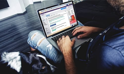 Phishing Security Test